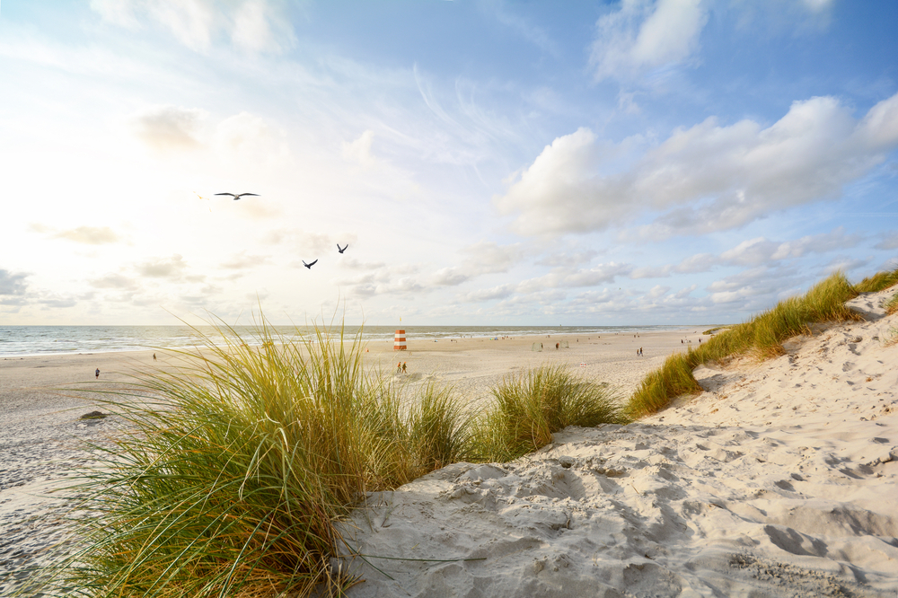 Travemünde Strand: Ein wunderschöner Ort zum Entspannen und Genießen